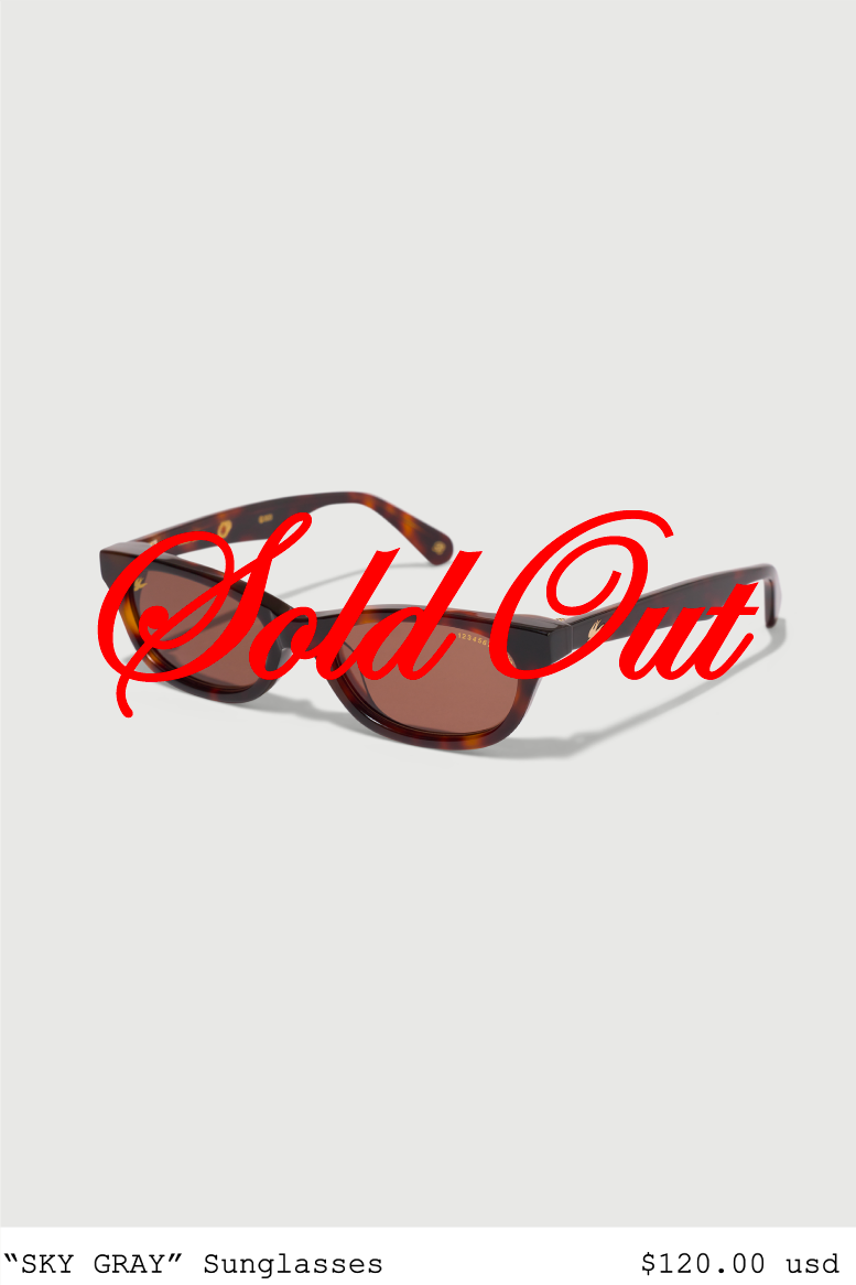 Sky Gray Sunglasses – Index123456789 Inc.